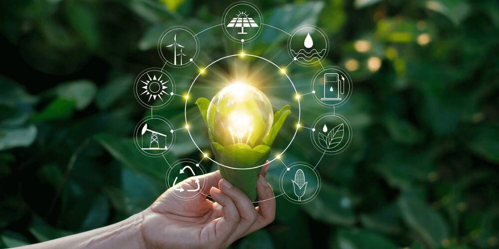 Inovação Sustentável: microrganismos de pragas com potencial na produção de bioenergia